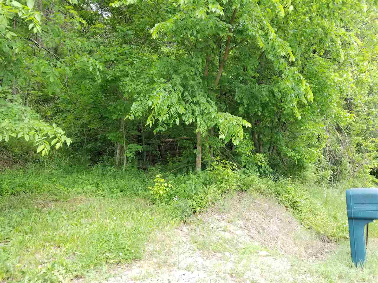 0 Friendship Road Catlettsburg, KY 41129 - Photo 1 of 1 Gallery Image 1