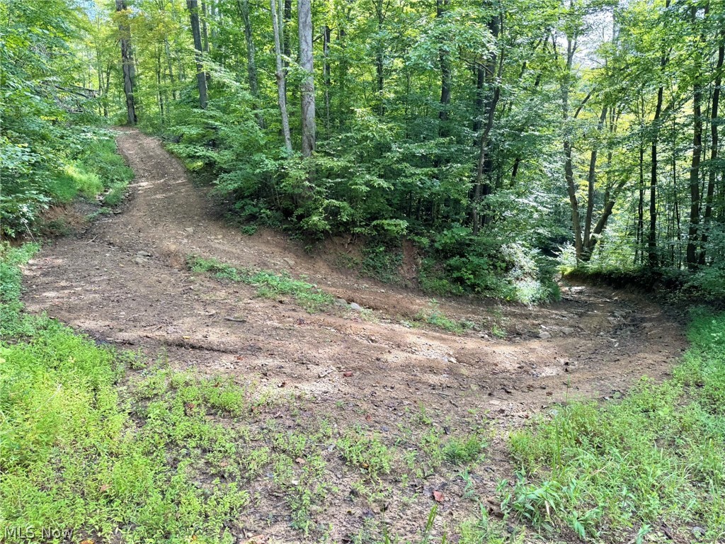 2 Nicut Run Road Rosedale, WV 26636 - Photo 18 of 24 Gallery Image 18