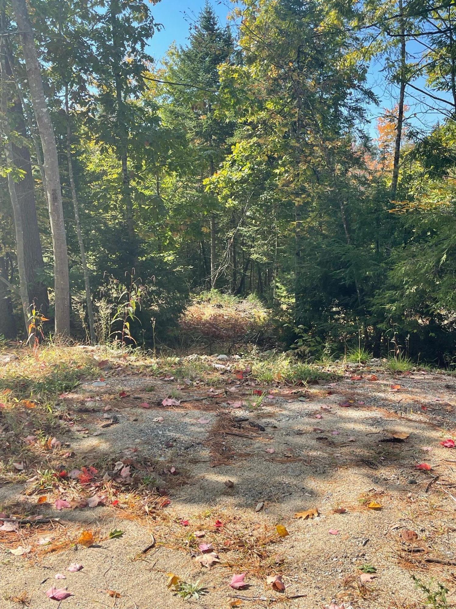 Lot 7 Naples Road Harrison, ME 04040 - Photo 5 of 6 Lot7NaplesRd.image3