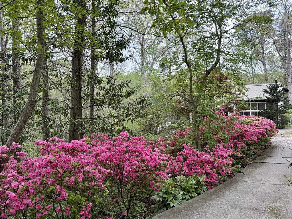 1165 Regency Road Northwest Atlanta, GA 30327 - Photo 4 of 39