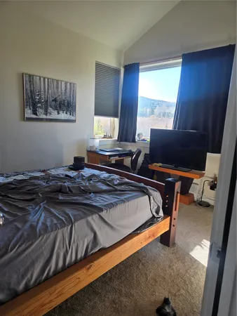 $566,962 | 331 Haymaker Street, Silverthorne, CO 80498