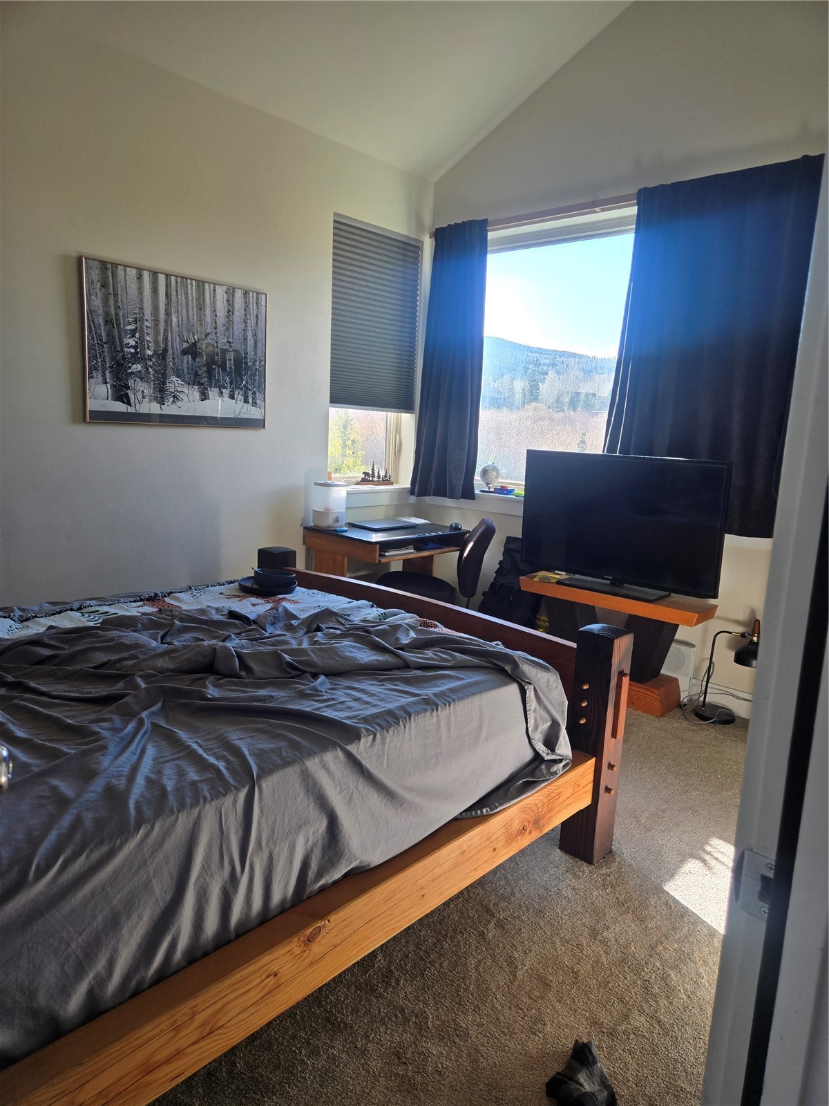 331 Haymaker Street Silverthorne, CO 80498 - Photo 12 of 21 Bedroom #2