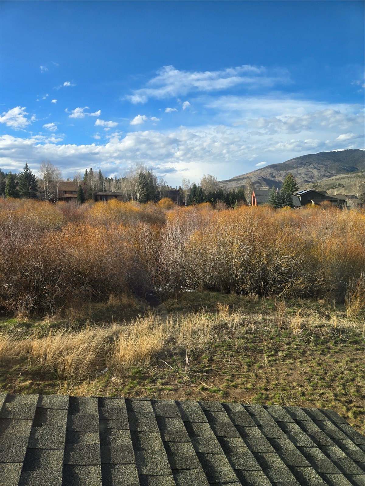 331 Haymaker Street Silverthorne, CO 80498 - Photo 17 of 21