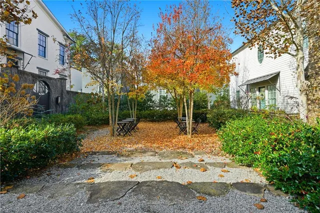 a view of a yard with plants and trees