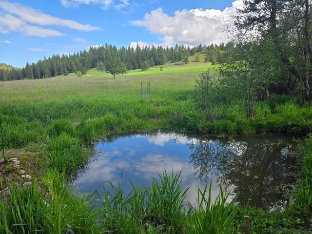 $460,000 | 4439 Whittier Road, Clayton, WA 99110