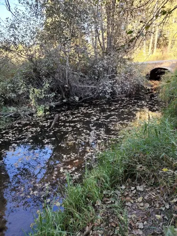 $460,000 | 4439 Whittier Road, Clayton, WA 99110