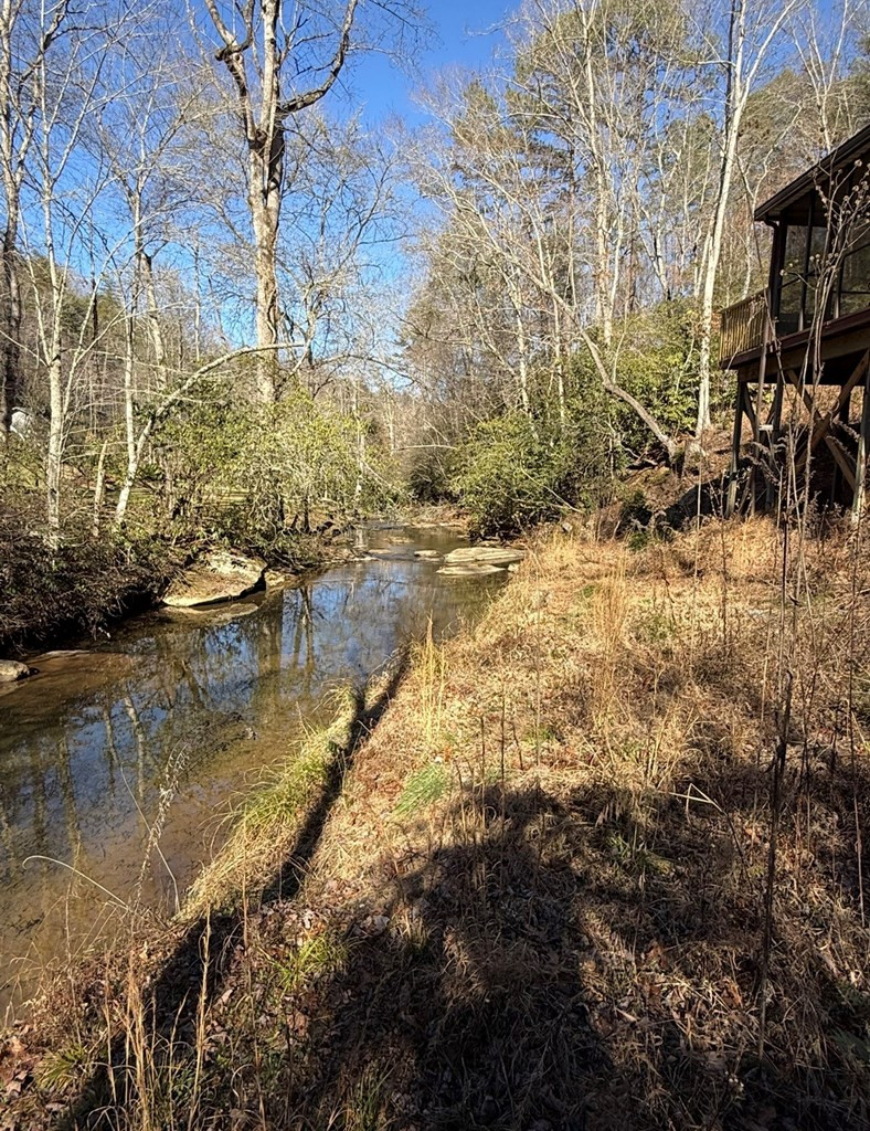 385 Old Whitener Road Murphy, NC 28906 - Photo 3 of 21