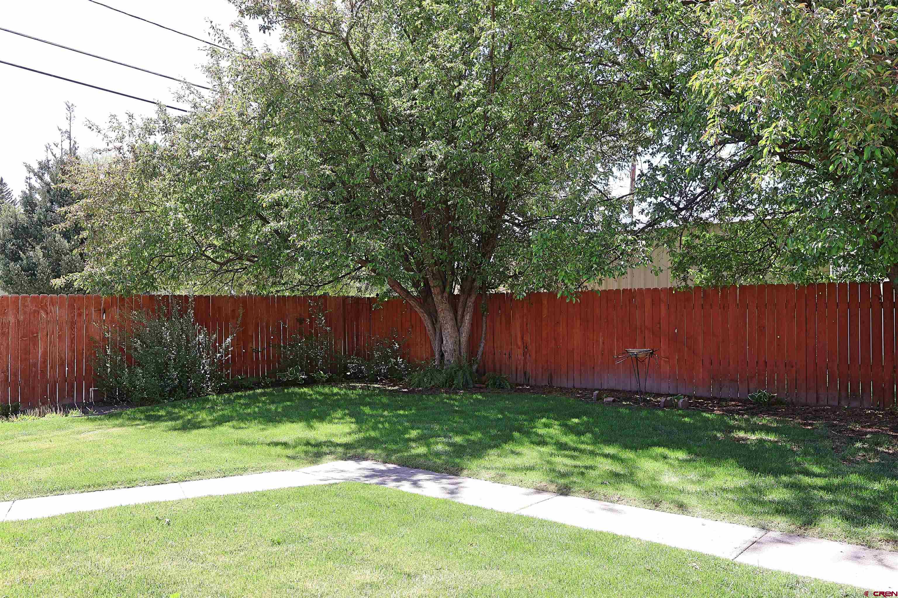 96 El Rio Drive Alamosa, CO 81101 - Photo 16 of 18 a view of a backyard with potted plants and large tree
