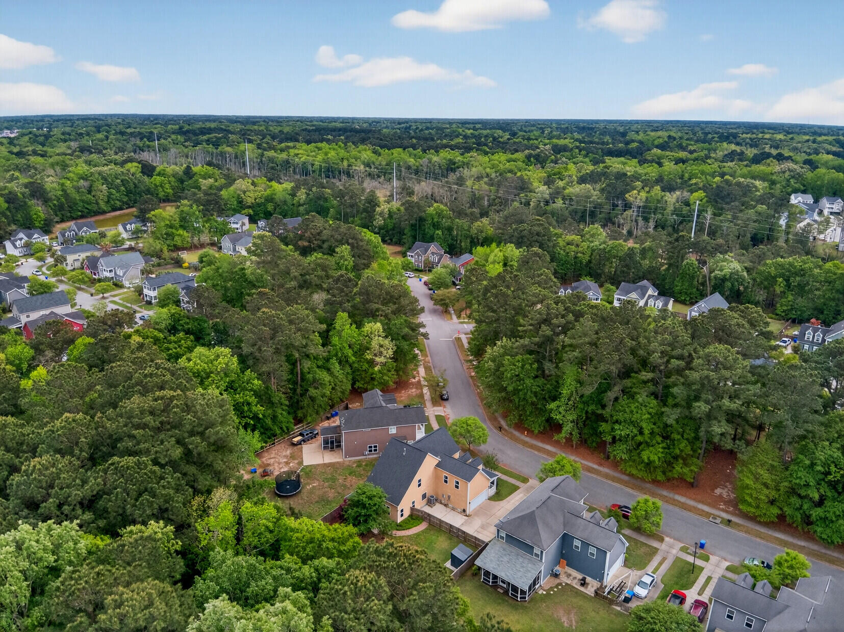 1244 Segar Street Johns Island, SC 29455 - Photo 45 of 54 Aerial