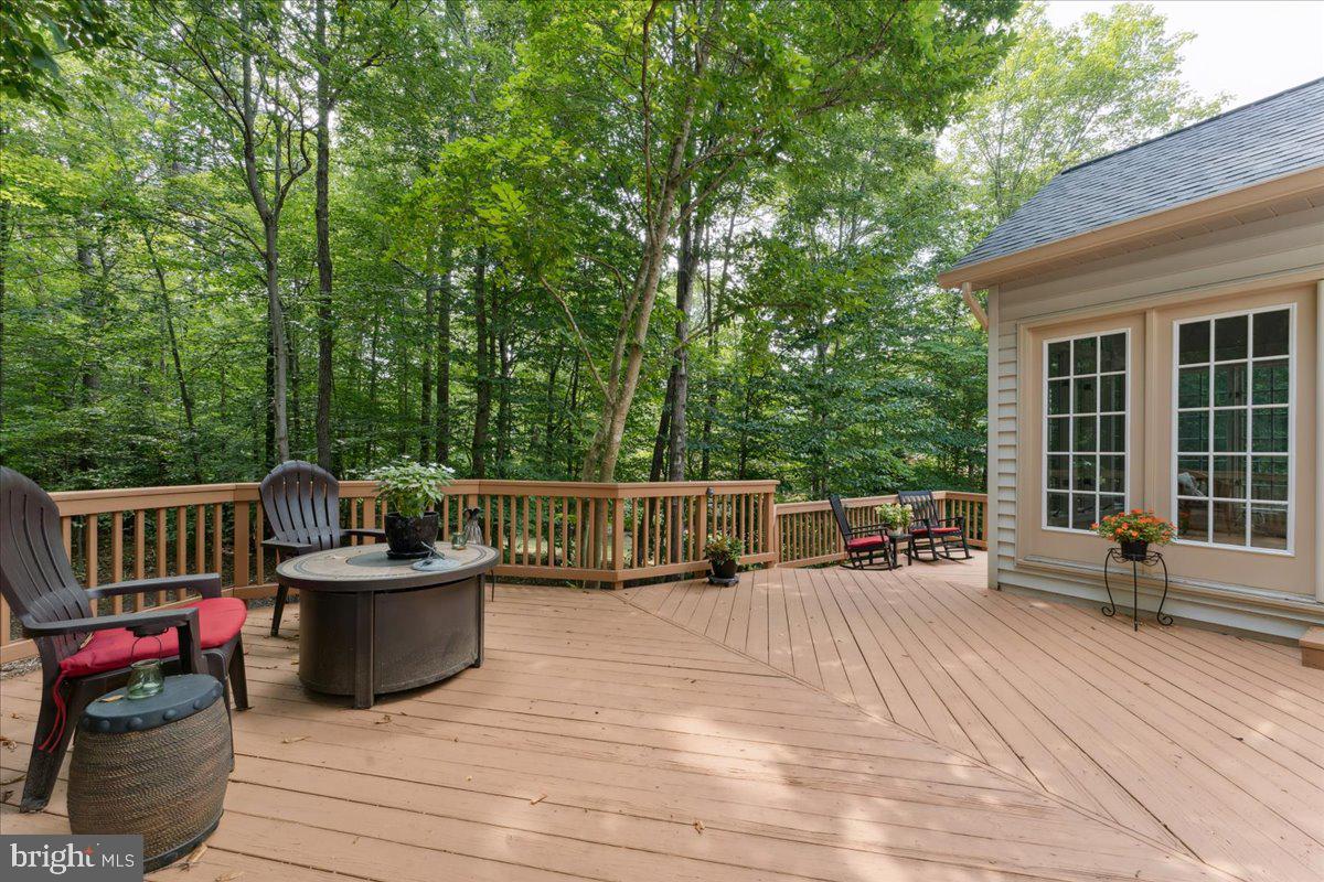 7411 Union Ridge Road Clifton, VA 20124 - Photo 52 of 86 enjoy nature, peace & trees!