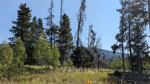 $89,900 | 0 Halter Trail, Oak Creek, CO 80467