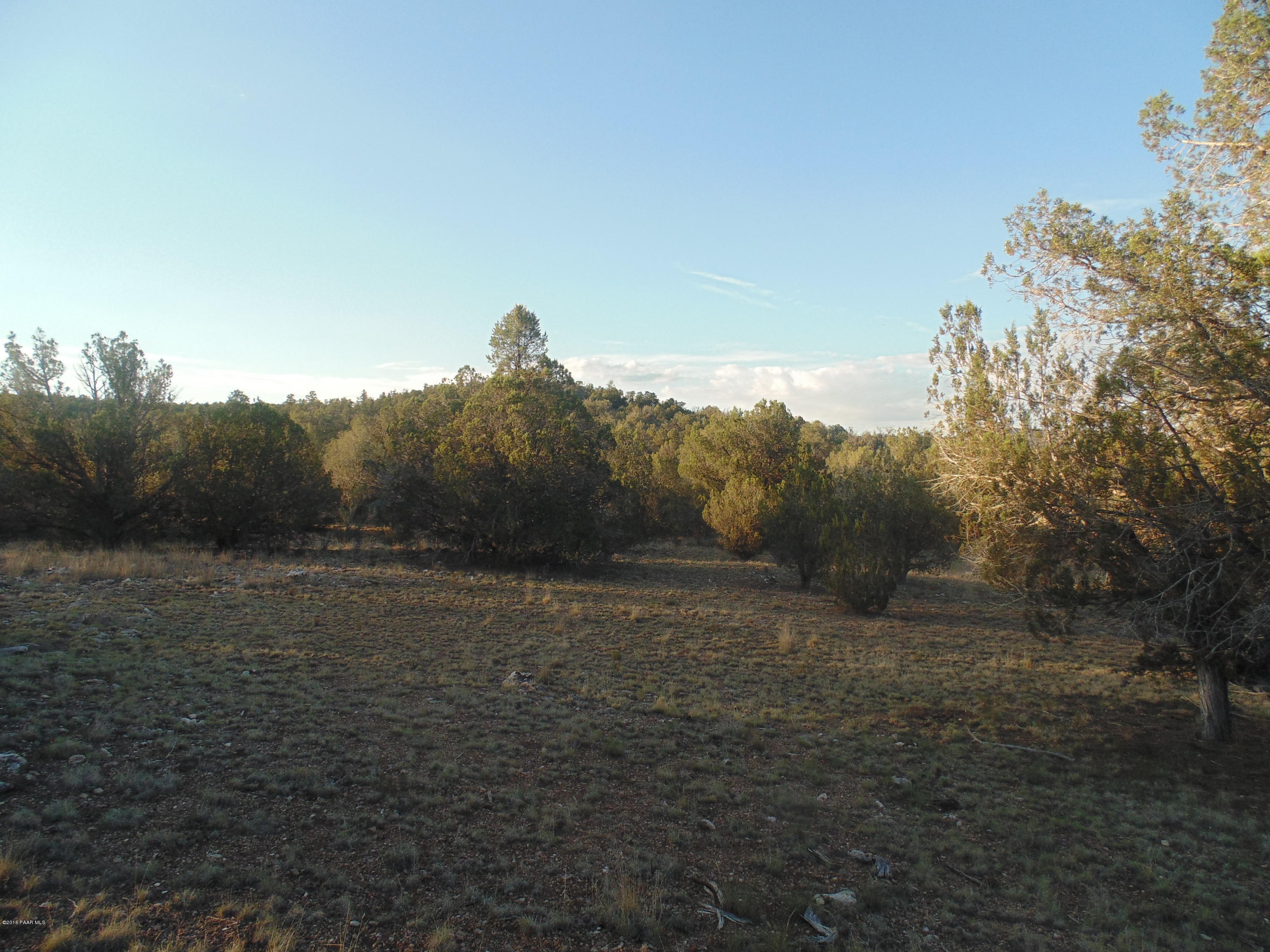 329 Rancheria Seligman, AZ 86337 - Photo 3 of 11 DSC01294
