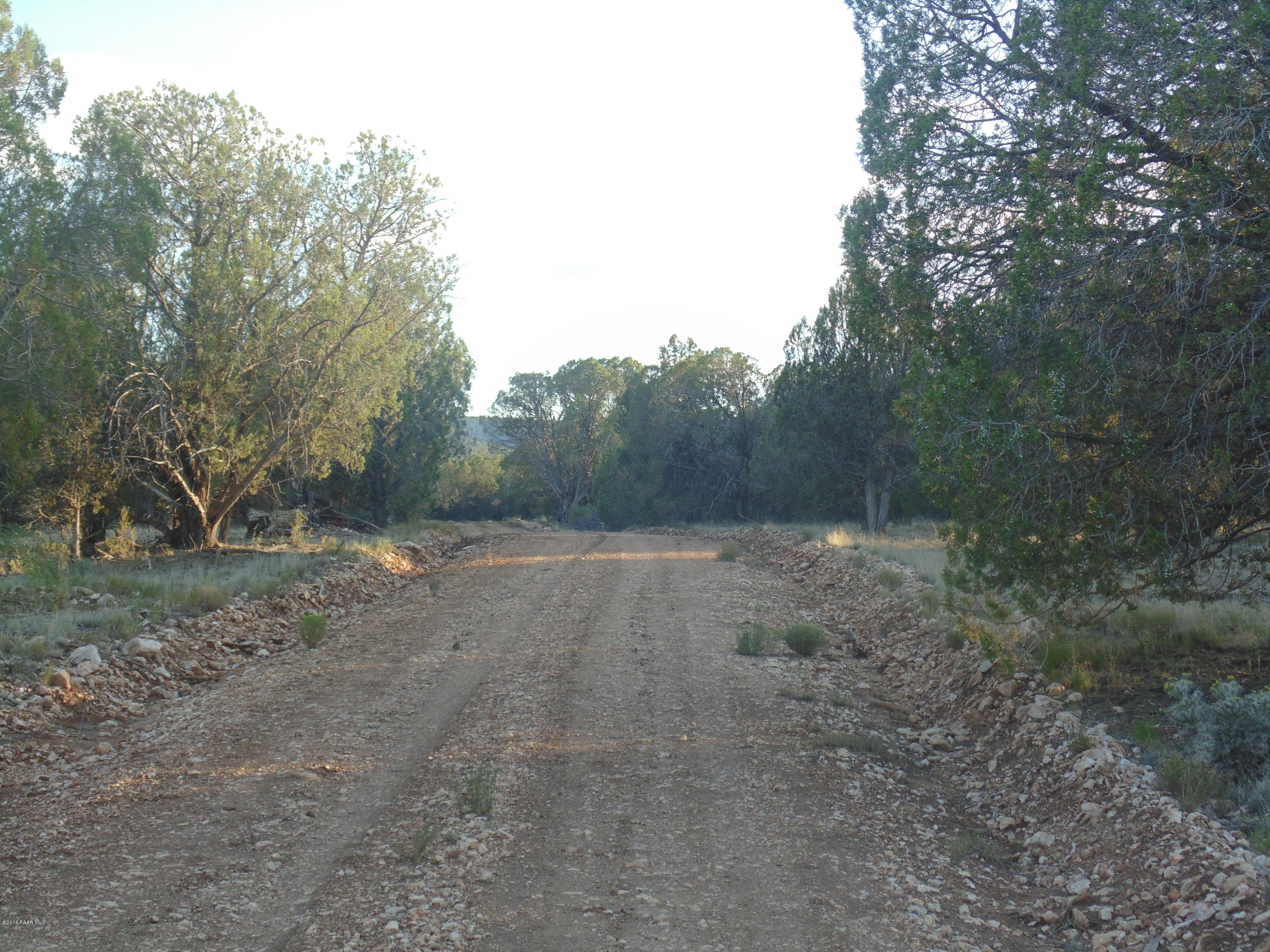 329 Rancheria Seligman, AZ 86337 - Photo 6 of 11 DSC01299