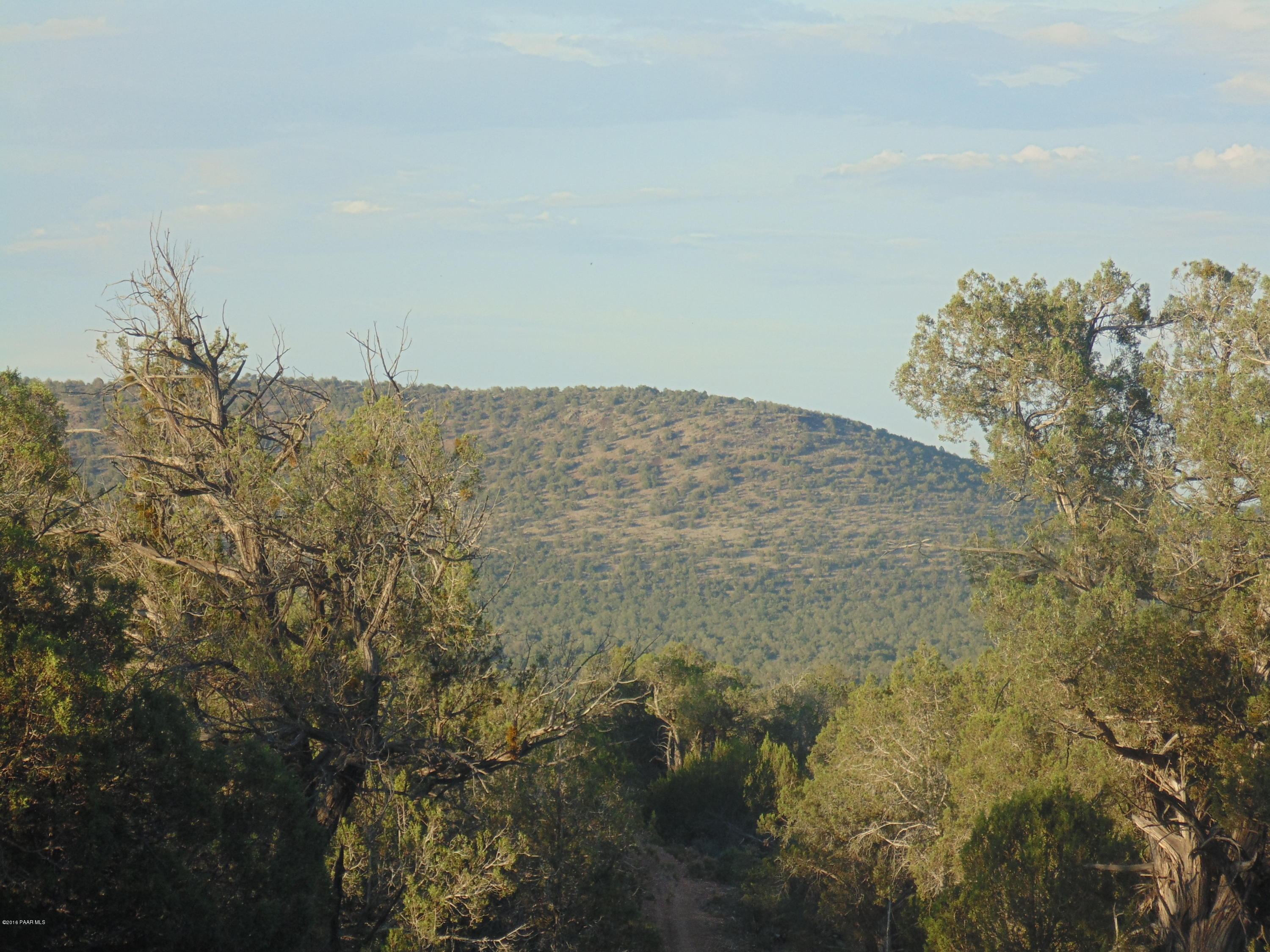 329 Rancheria Seligman, AZ 86337 - Photo 7 of 11 DSC01300