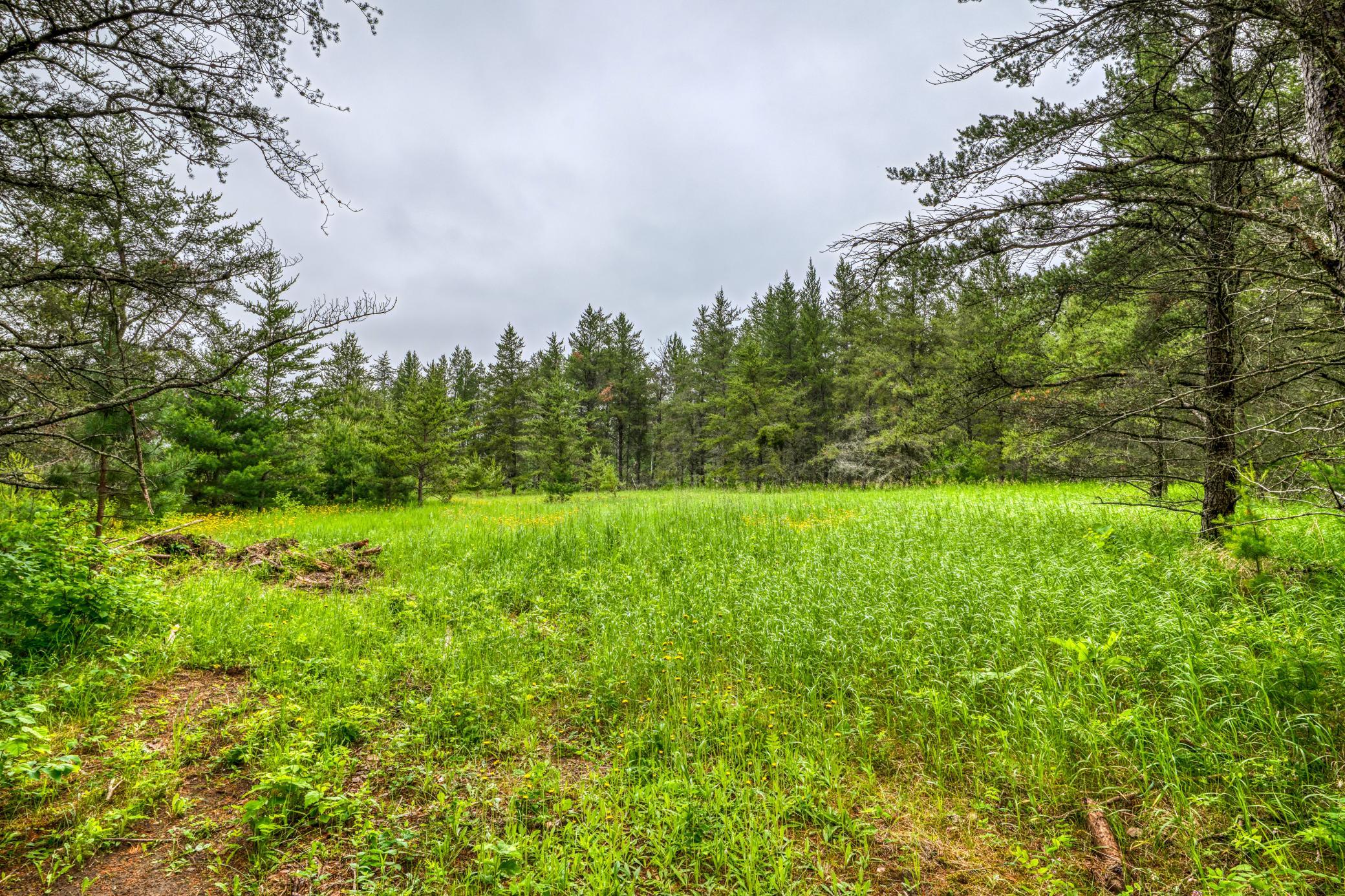 12891 Bemidji Road Northeast Bemidji, MN 56601 - Photo 71 of 99
