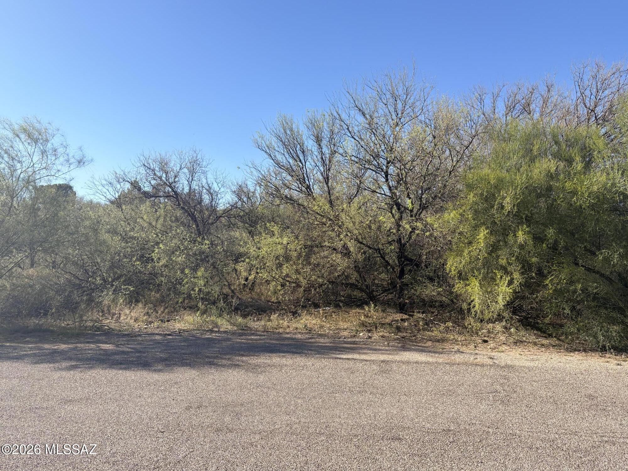 412 Wrightson Street, Unit 3 Rio Rico, AZ 85648 - Photo 5 of 5 a view of a yard with a tree