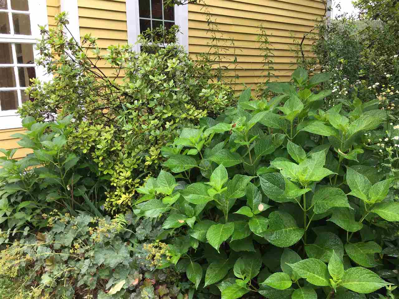 14 Rockrimmon Road Kingston, NH 03848 - Photo 40 of 40