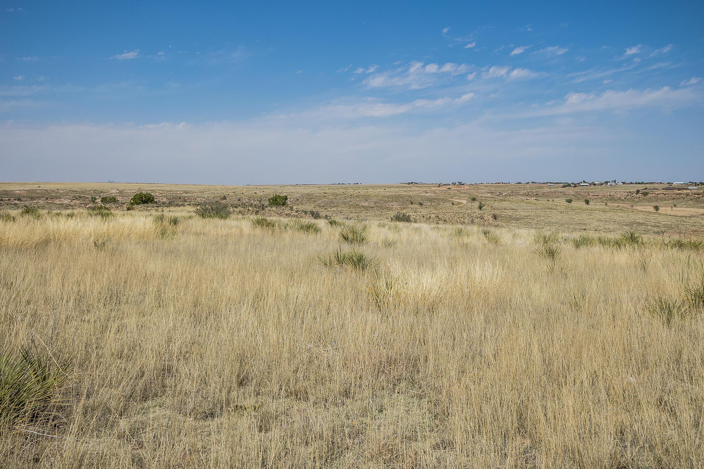 13220 Blf Rdg Trail Canyon, TX 79015 - Photo 43 of 43 044_Rear Property View