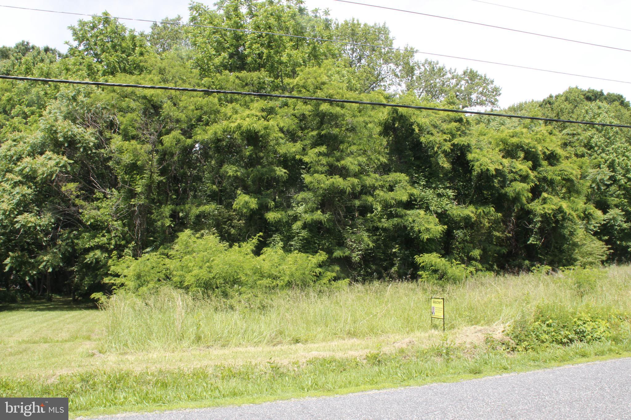 689 Prospect Hill Road Montross, VA 22520 - Photo 3 of 8 a view of a yard