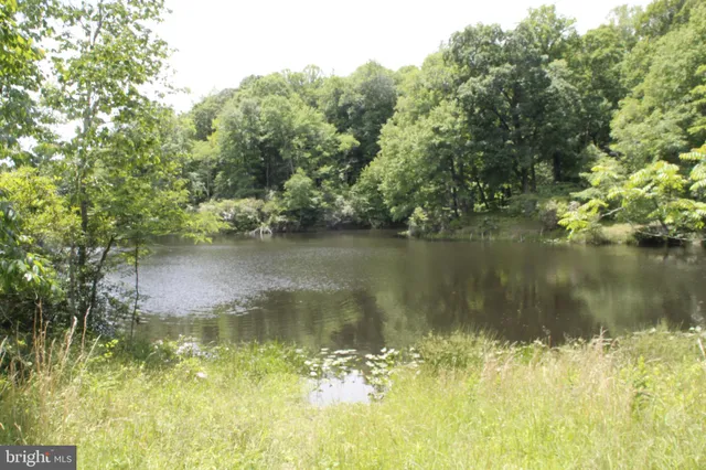 a view of a lake from a yard