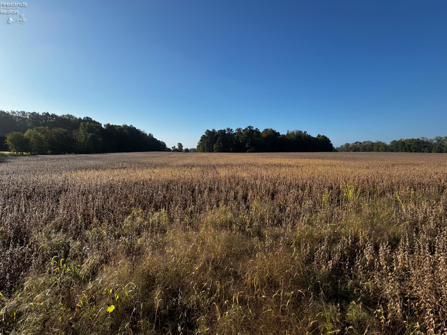 0 Section Line Road New London, OH 44851 - Photo 1 of 19 Gallery Image 1