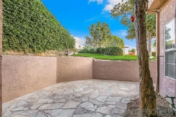 a view of backyard with plants