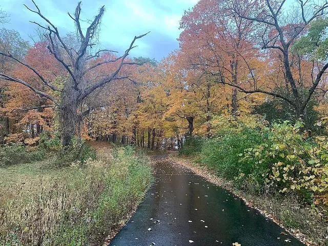 $599,000 | 675 East County Road 1180, Sutter, IL 62379