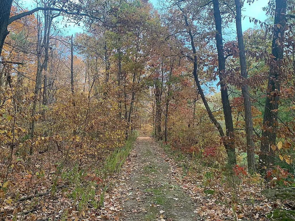 675 East County Road 1180 Sutter, IL 62379 - Photo 21 of 22