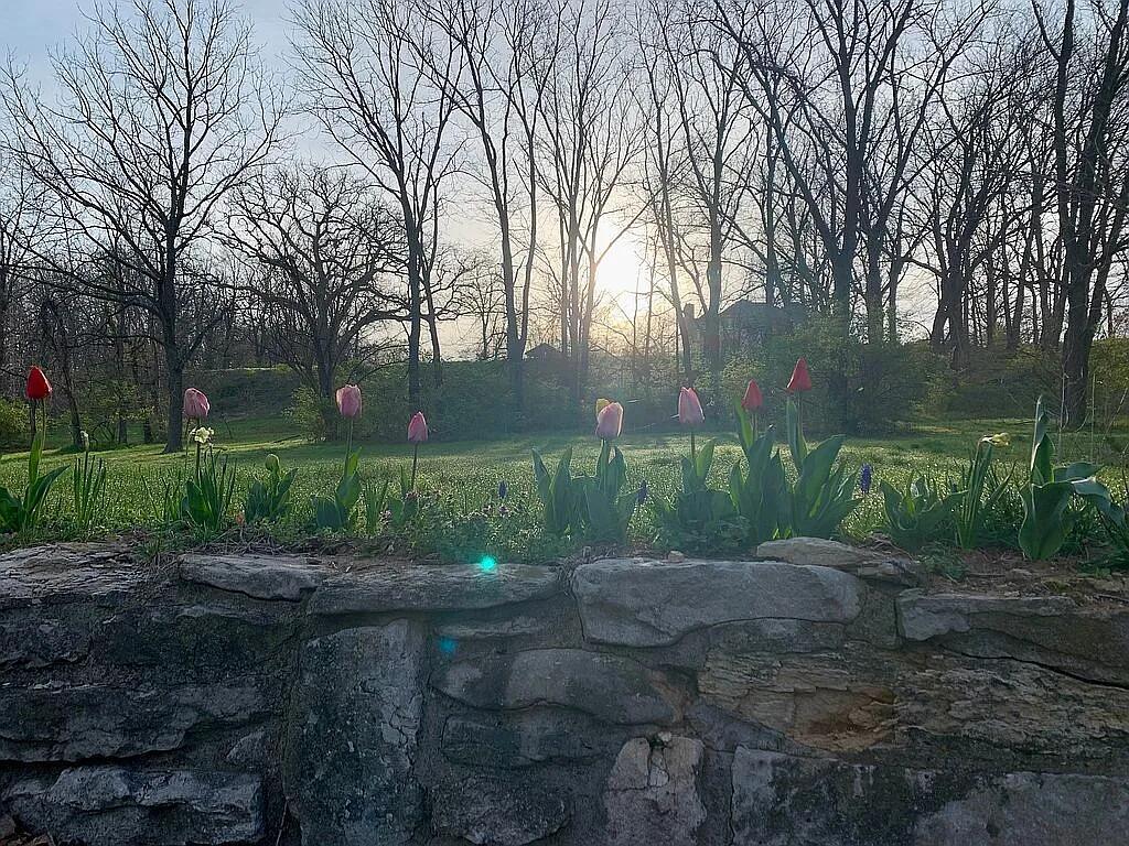 675 East County Road 1180 Sutter, IL 62379 - Photo 22 of 22