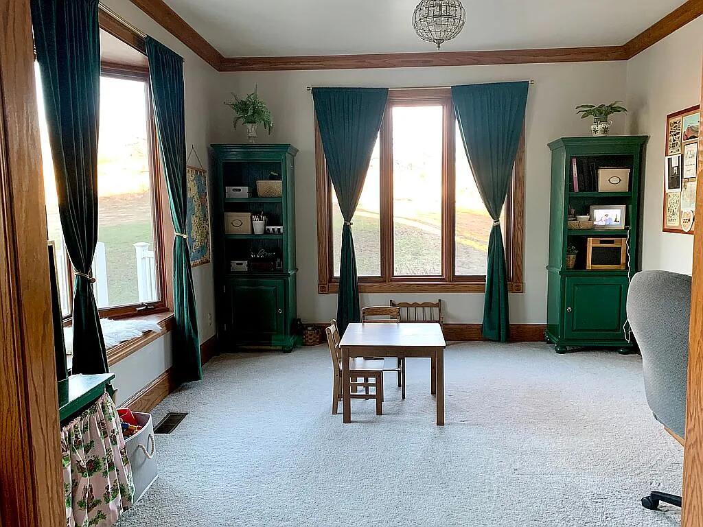 675 East County Road 1180 Sutter, IL 62379 - Photo 9 of 22