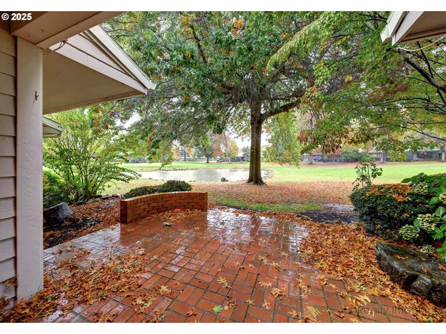 a view of a yard with plants and a table
