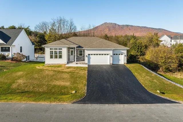 a view of a house with a yard and large tree