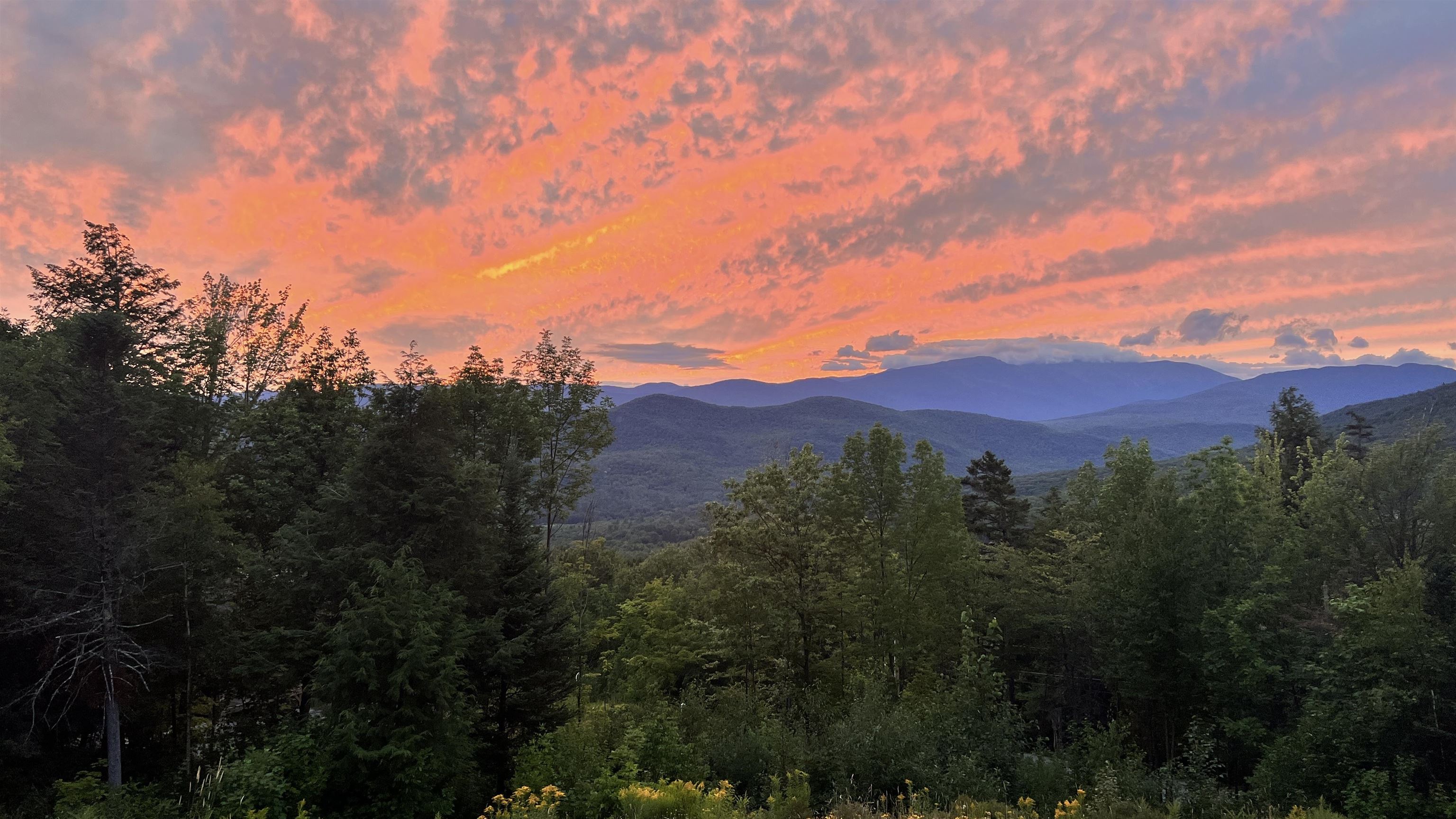 116 North Hampshire Ridge Road Jackson, NH 03846 - Photo 13 of 59