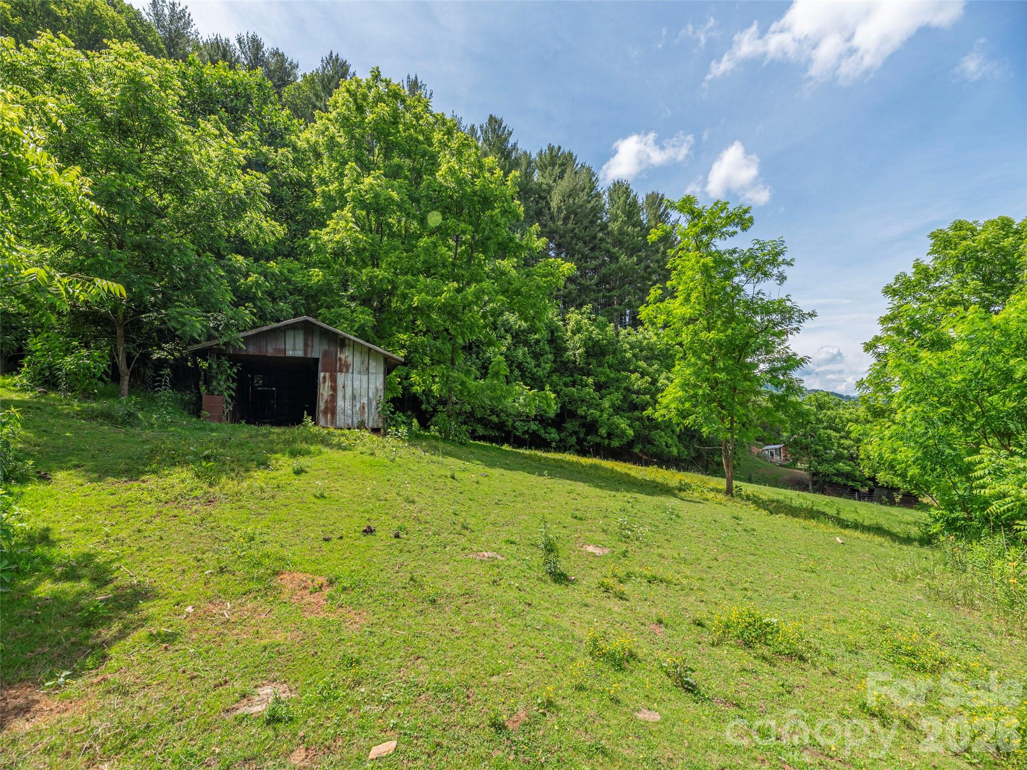 5622 Dutch Cove Road Canton, NC 28716 - Photo 6 of 26