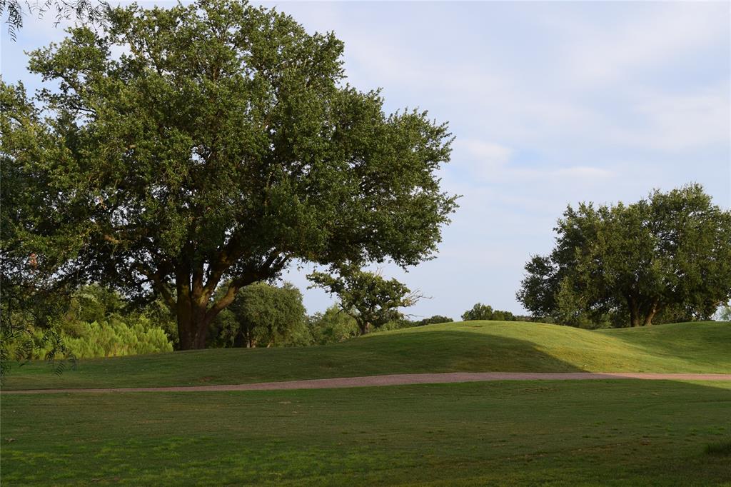 27101 Meadowmore Court Whitney, TX 76692 - Photo 24 of 32 View of New Golf Course trail from back patio.