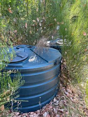 a view of a yard with plants