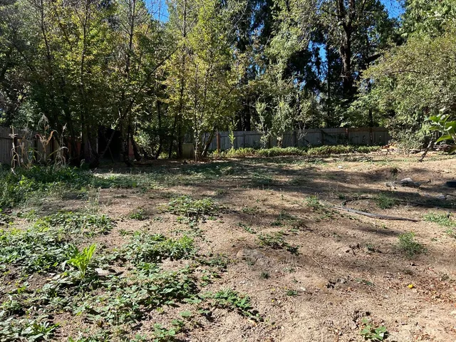 a view of a yard with a tree