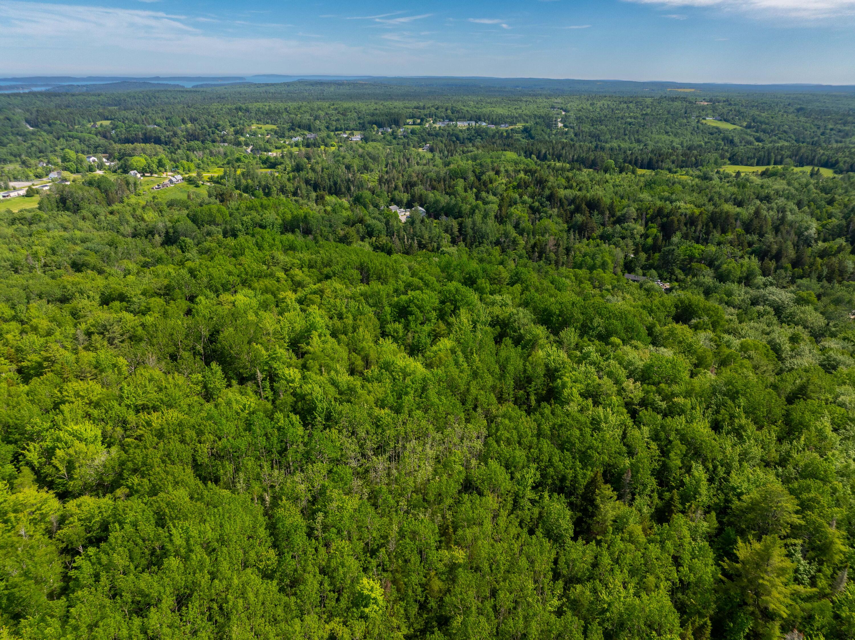 Lot #28 Station Road Jonesboro, ME 04648 - Photo 26 of 26 6-17-26 Station Rd Lot Jonesboro (8 of 2