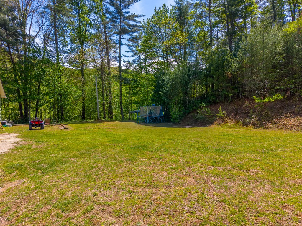 1364 Atoah Road Robbinsville, NC 28771 - Photo 48 of 71