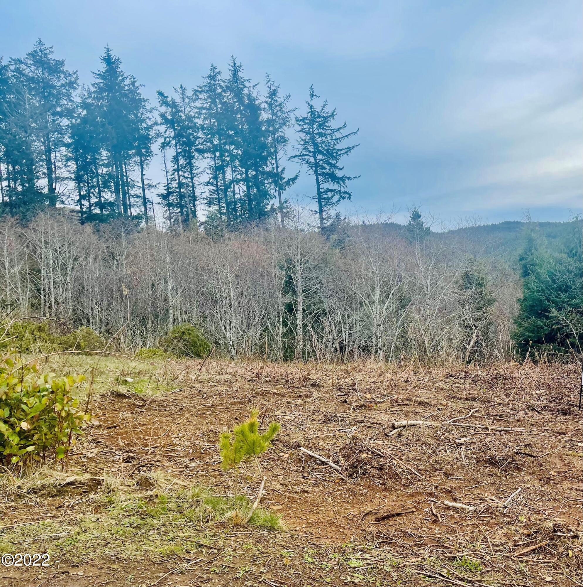 Lot 17 Ne Spring Depoe Bay, OR 97341 - Photo 1 of 4 5