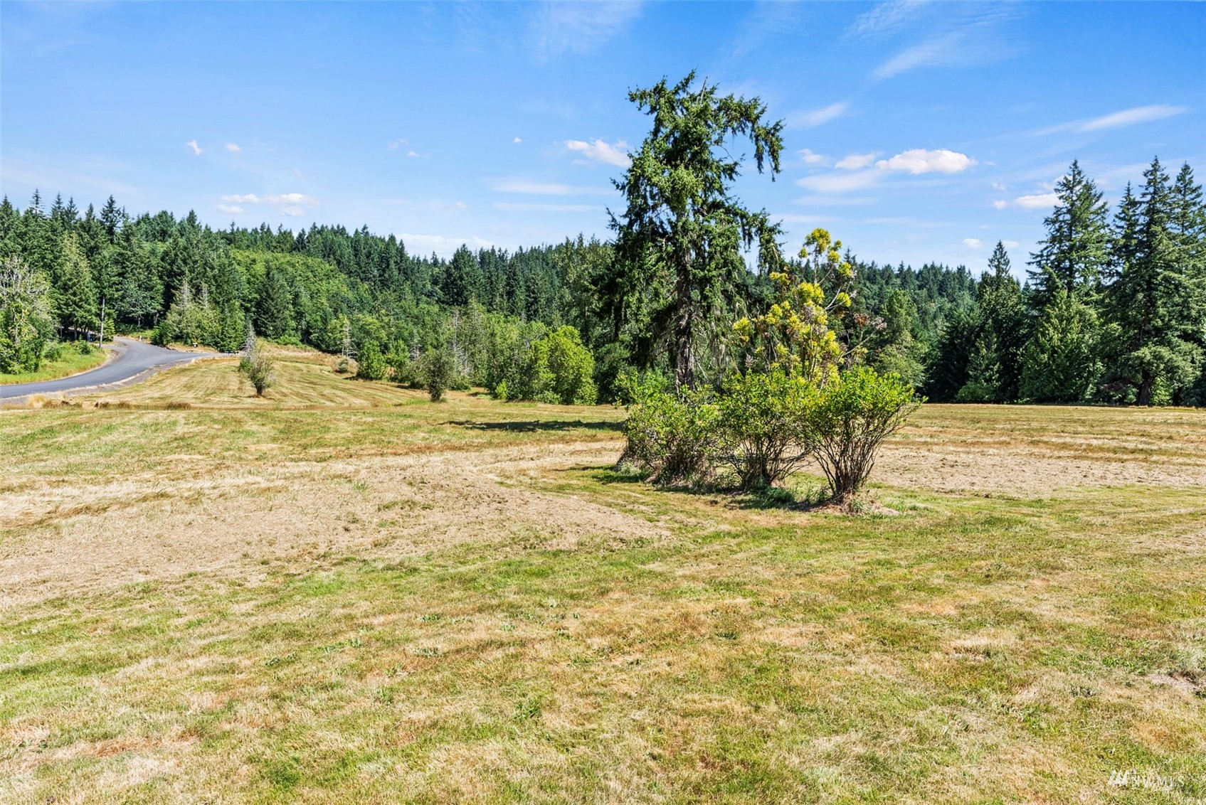 155 Martin Road Silverlake, WA 98645 - Photo 25 of 29 Gallery Image 25