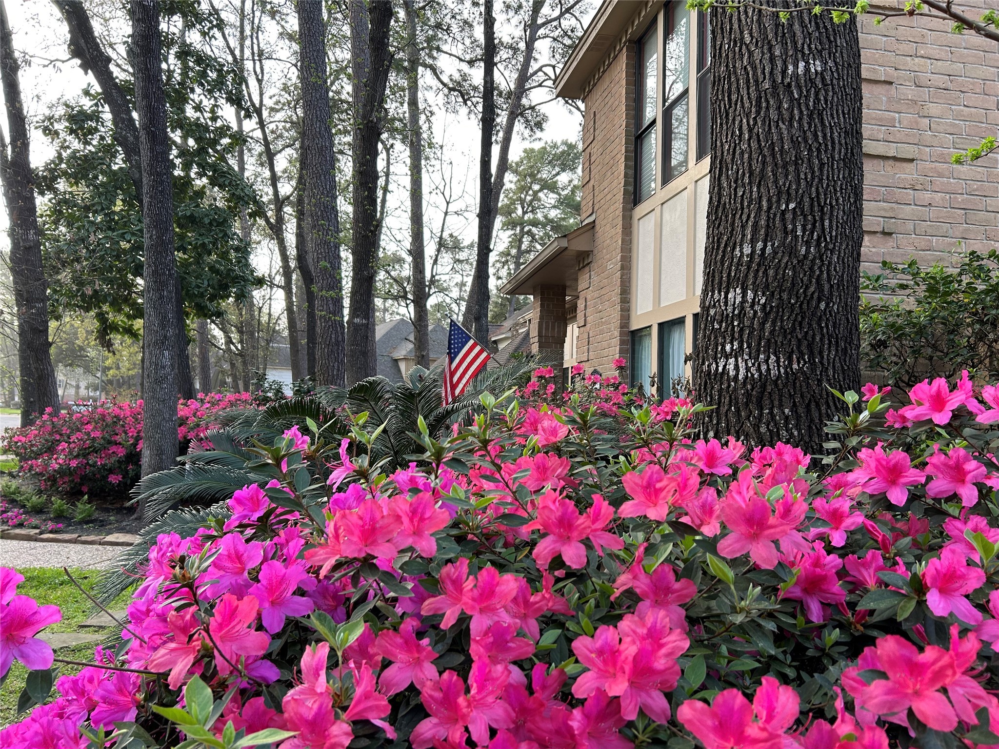 9547 Enstone Circle Spring, TX 77379 - Photo 4 of 45