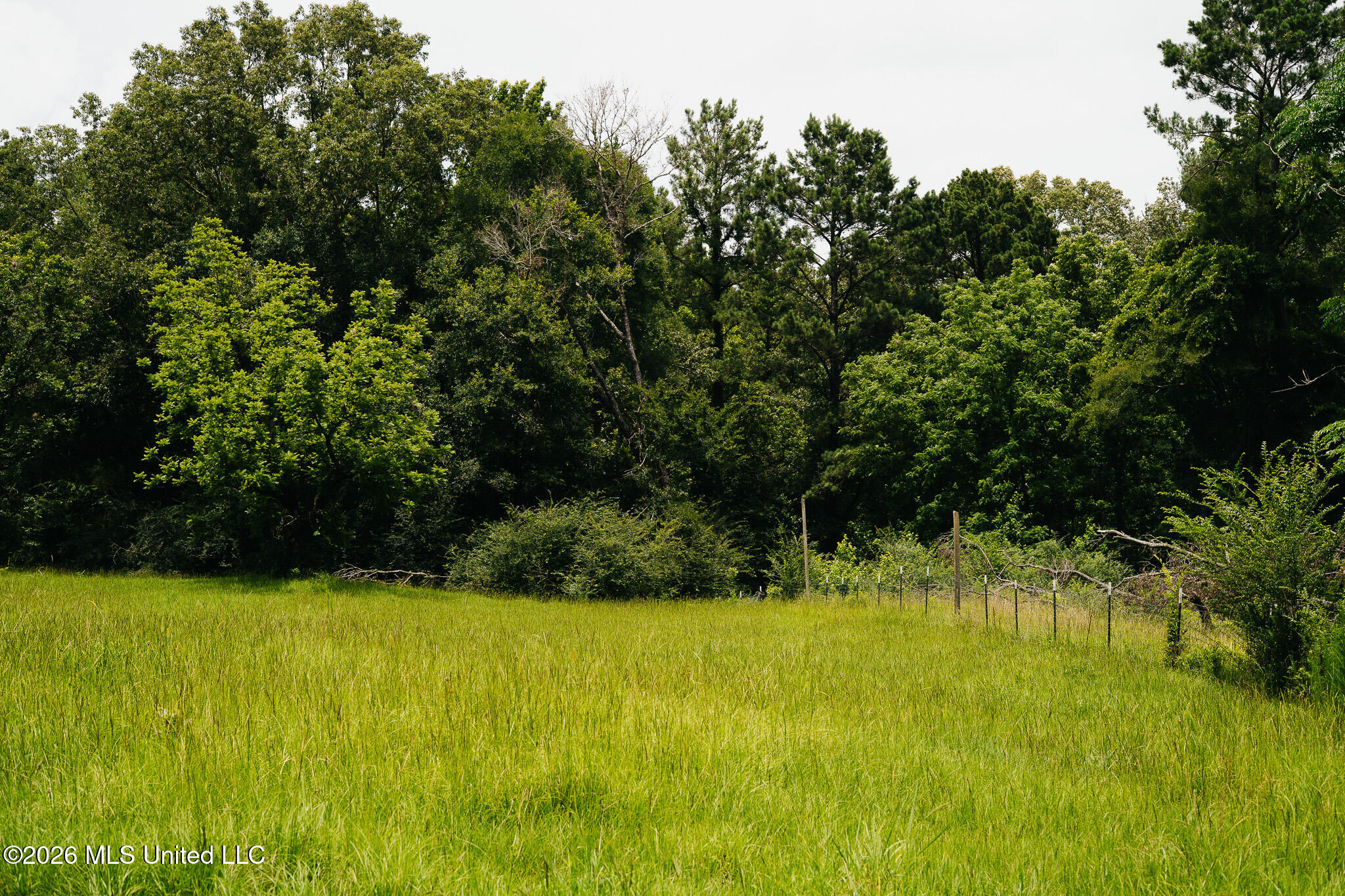 2139 Warren Hood Road Hermanville, MS 39086 - Photo 89 of 115 Pasture