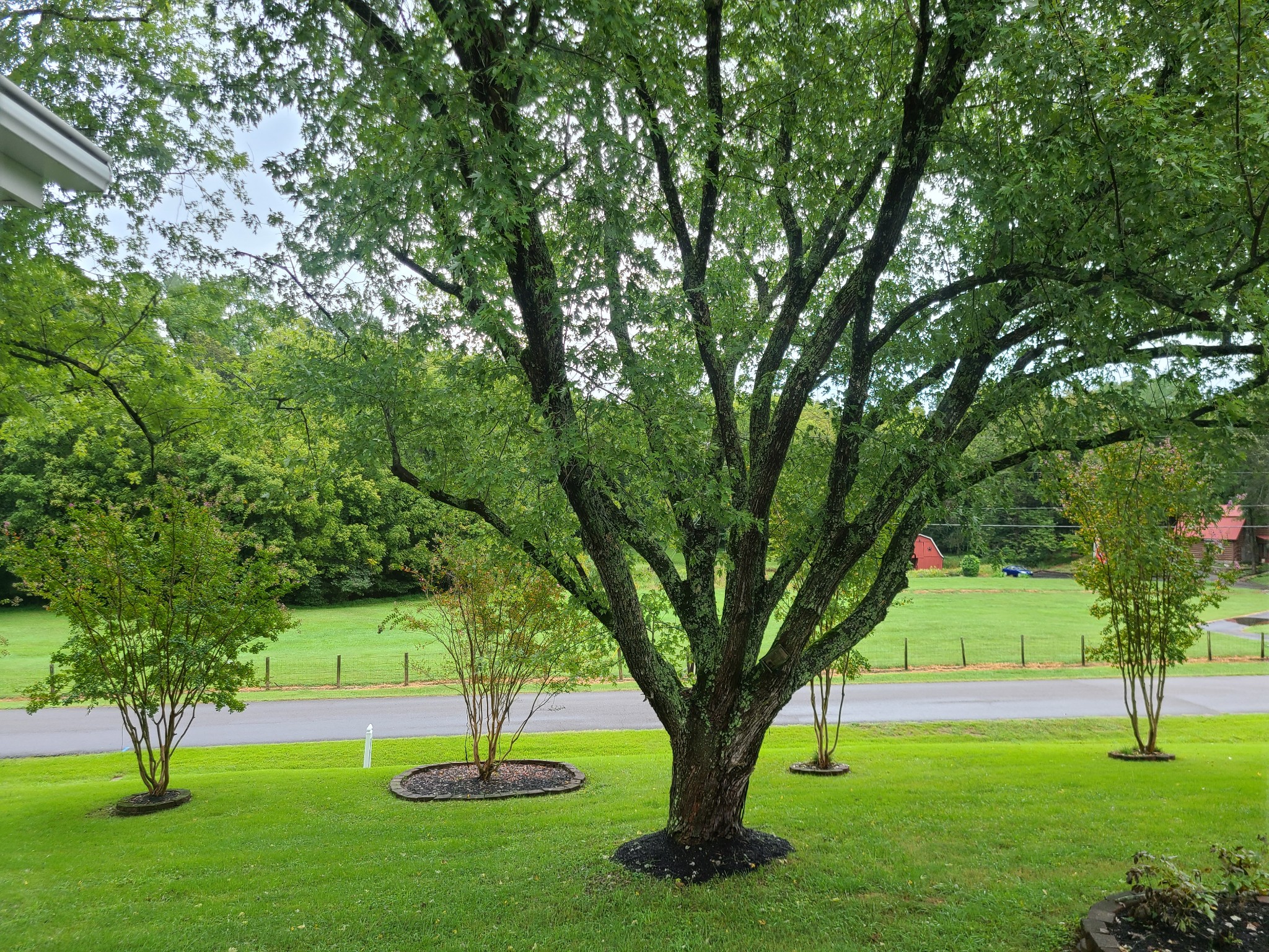 911 Green Valley Road Mount Juliet, TN 37122 - Photo 36 of 36 Gallery Image 36