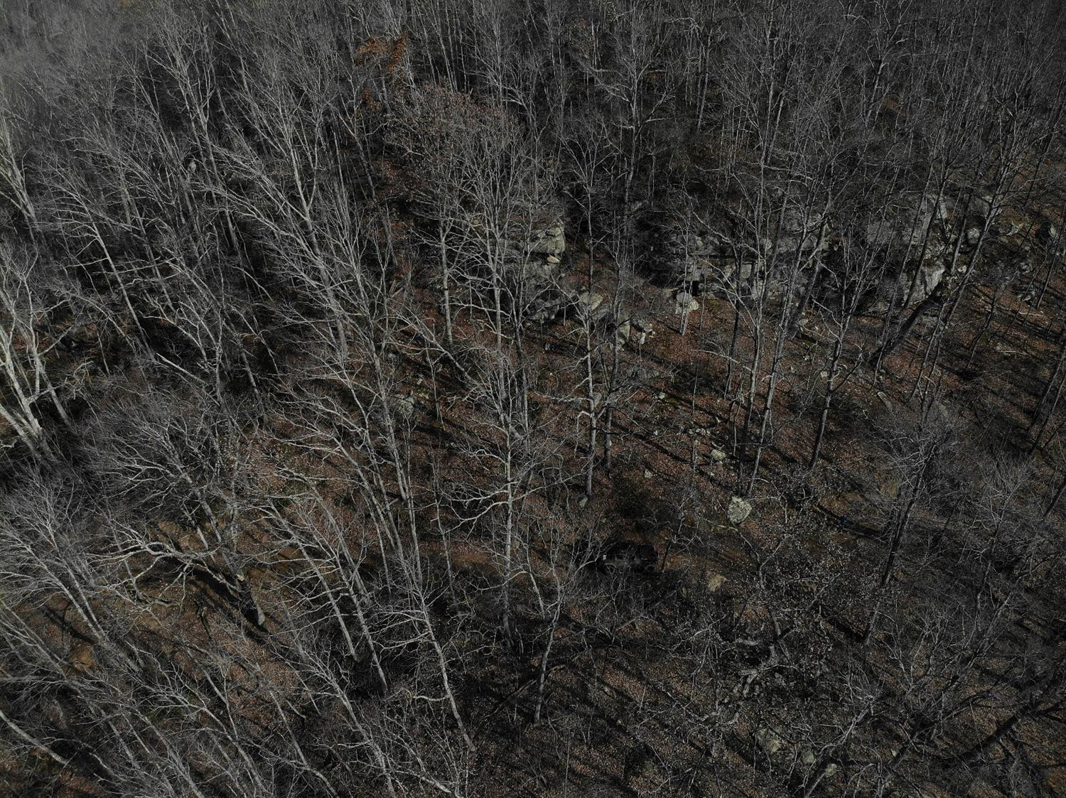 2 Otter Creek Road Manchester, KY 40962 - Photo 35 of 51 Photo 35