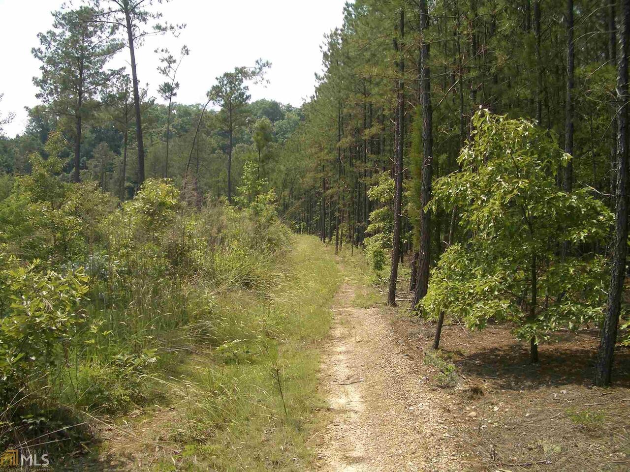 0 Norton Road, Unit 95305 Kingston, GA 30145 - Photo 1 of 1 Gallery Image 1