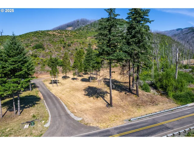 $350,000 | River Street, Blue River, OR 97413