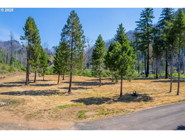 $350,000 | River Street, Blue River, OR 97413