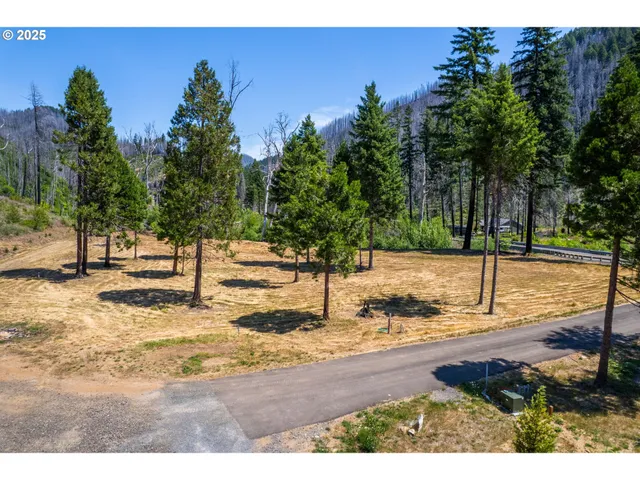 $350,000 | River Street, Blue River, OR 97413