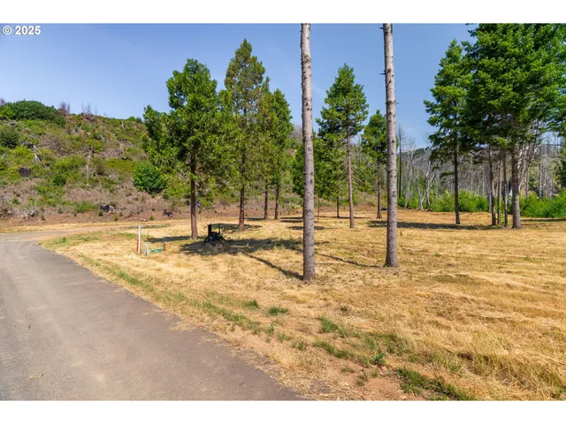 $350,000 | River Street, Blue River, OR 97413